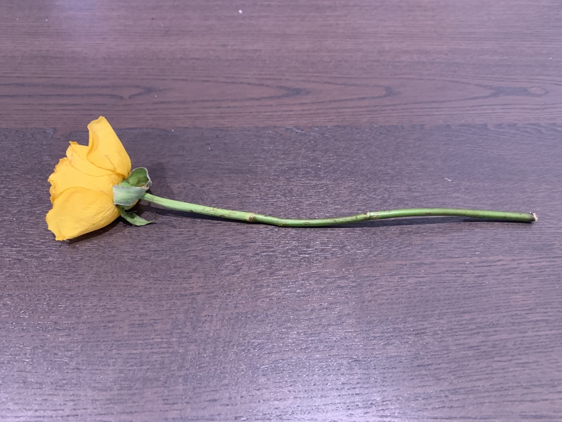 yes i still have this